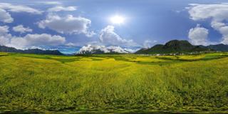 吉隆县 སྐྱིད་གྲོང་རྫོང།_ 吉隆镇 (22)